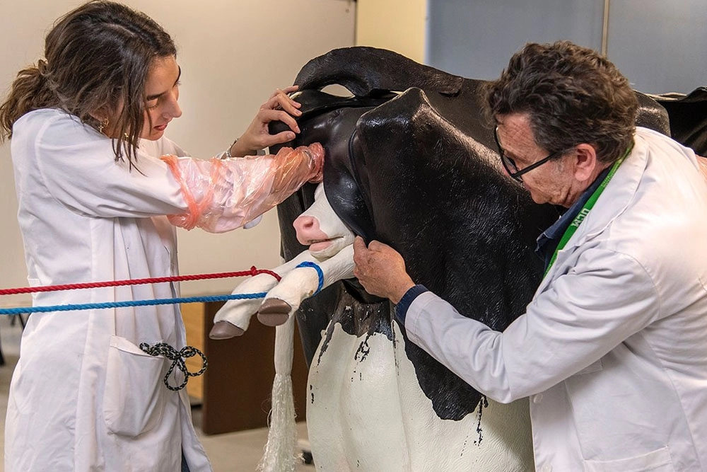 Aplicar el conocimiento adquirido en la practicas importante para tu crecimiento profesional